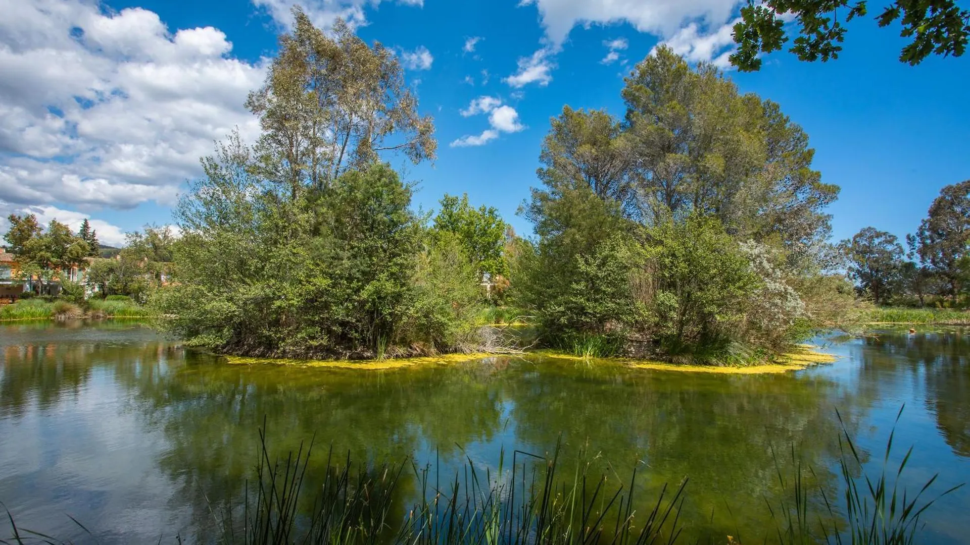 Διαμέρισμα Grimaud 4 Personnes Clim Vue Mer